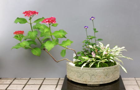 http://www.cty-net.ne.jp/~ceramics/goannai/IMG_1130%20(3).JPG